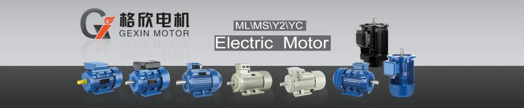 Ms100L-4 2.2kw 3kw Ms Series Aluminum Shell Three-Phase 380V AC Motor